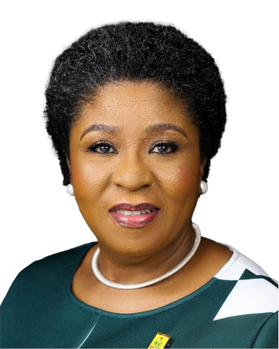 Governance Speaker